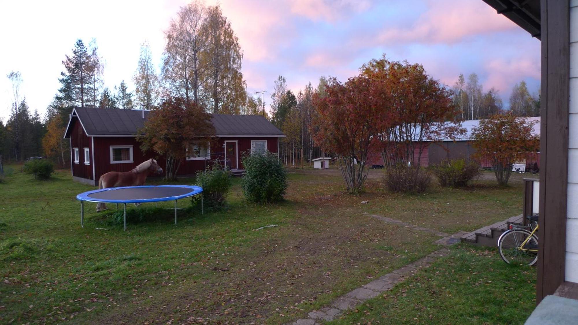 Heidin Mummola Farm Pello Exterior foto